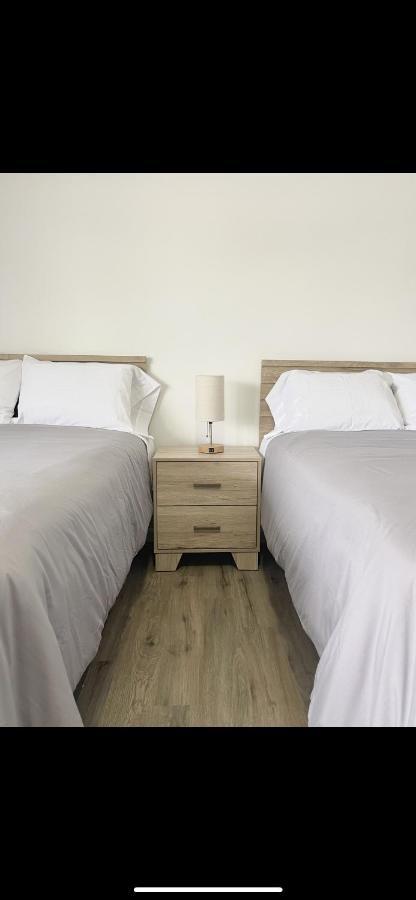 רוצ'סטר Downtown Inn מראה חיצוני תמונה